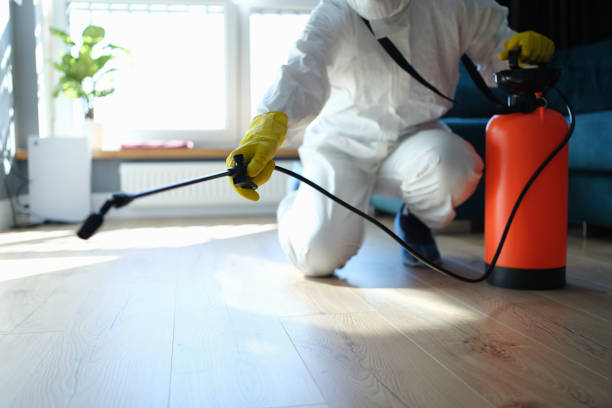 Reliable Odor Removal contractor in Mira Loma, CA by Dulley Family Biohazard Services